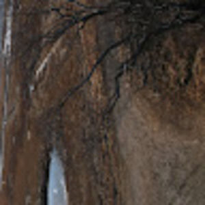 Meet your Posher, Miles